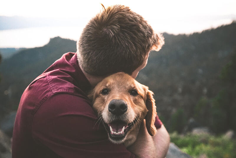 22 Touching Pet Memorial Ideas To Honor Your Furry Friends 17 memorial pet funeral