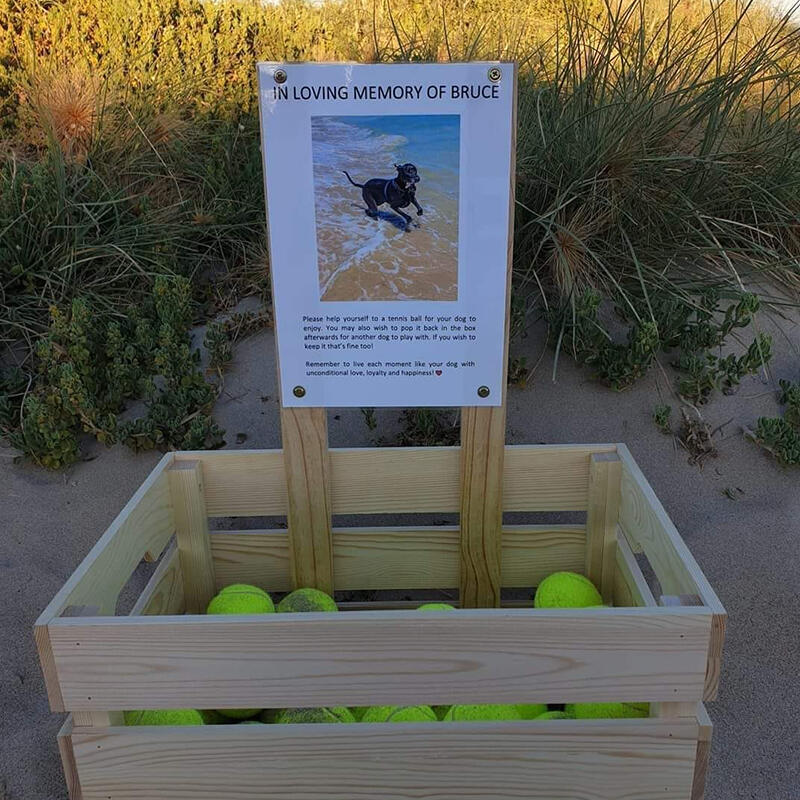 22 Touching Pet Memorial Ideas To Honor Your Furry Friends 20 pet memorial ideas
