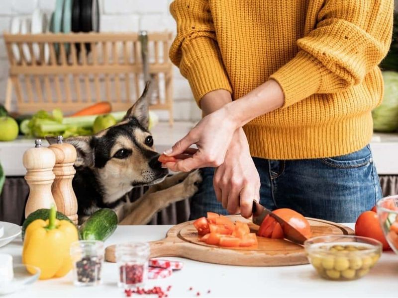 Best 20 Healthy Foods For Dogs You Can Find In The Kitchen
