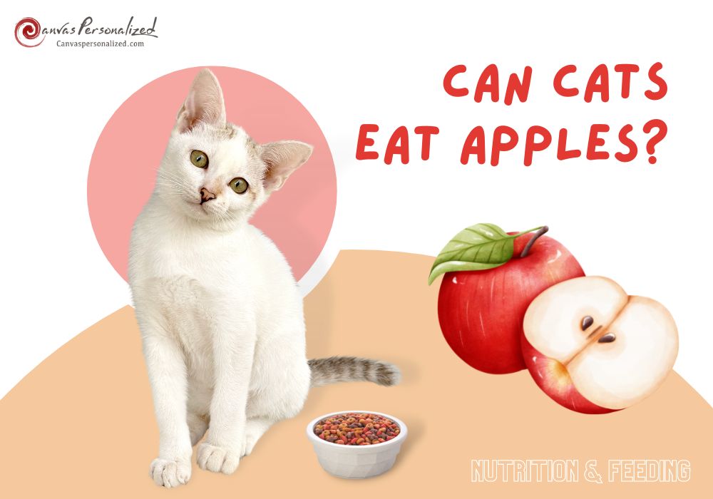 Can Cats Eat Apples? An Vetapproved Guide To Feed Your Cat