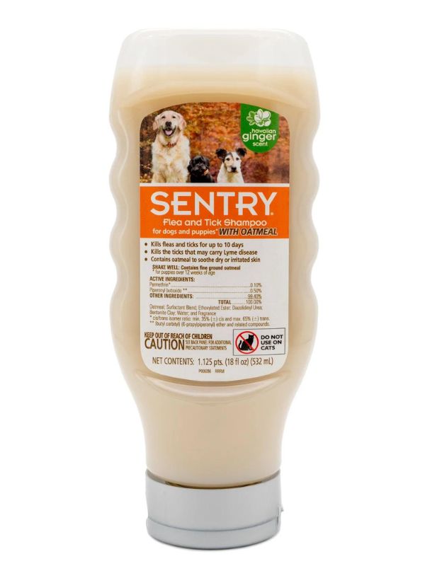 The Best 10 Antifungal Dog Shampoos For Dog s Skin Healthy