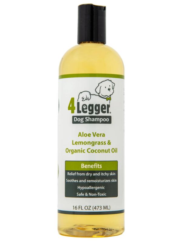 The Best 10 Antifungal Dog Shampoos For Dog's Skin Healthy
