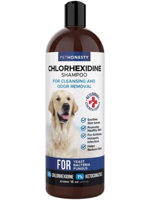 The Best 10 Antifungal Dog Shampoos For Dog's Skin Healthy