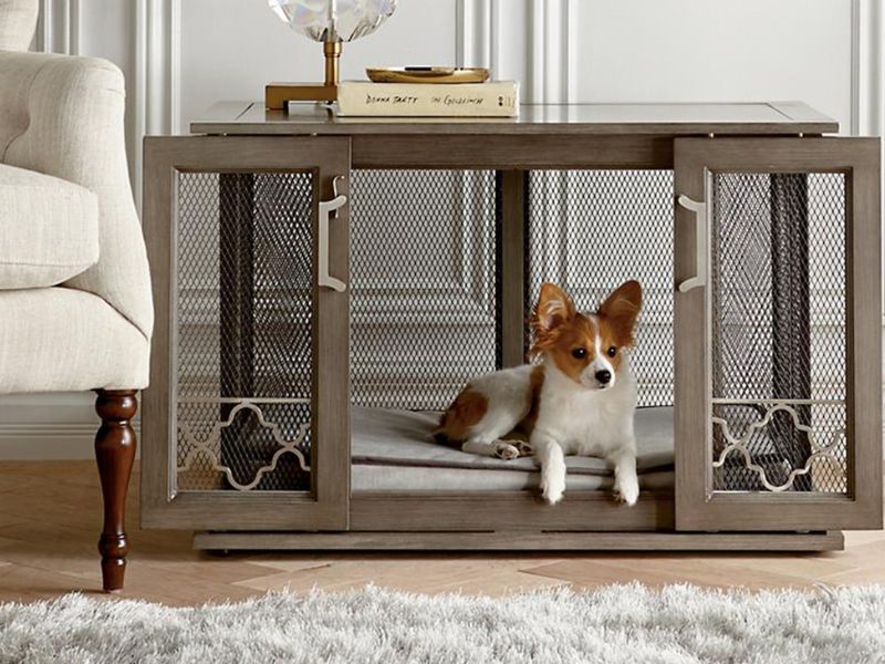 10 Crate Games For Dogs To Keep Your Pup Happy & Entertained