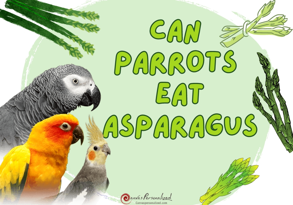 Healthy Pet Bird Diets Can Parrots Eat Asparagus?