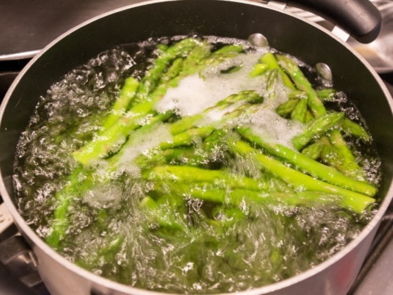 Healthy Pet Bird Diets Can Parrots Eat Asparagus?