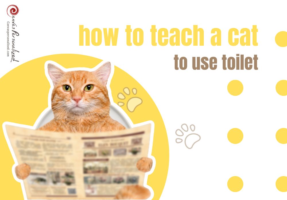 Canvas Personalized Blog Discover Helpful Pet Information